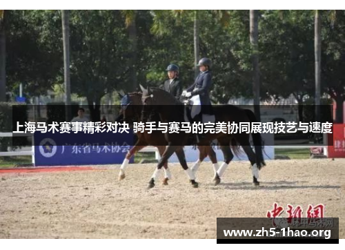 上海马术赛事精彩对决 骑手与赛马的完美协同展现技艺与速度