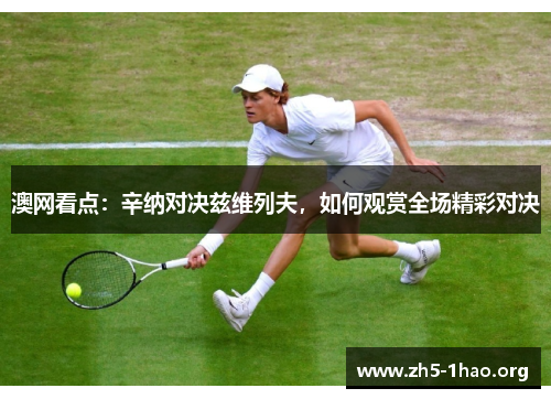 澳网看点：辛纳对决兹维列夫，如何观赏全场精彩对决