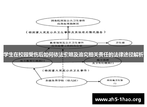 学生在校园受伤后如何依法索赔及追究相关责任的法律途径解析