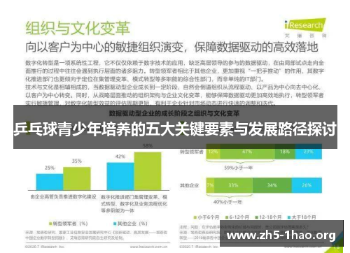 乒乓球青少年培养的五大关键要素与发展路径探讨