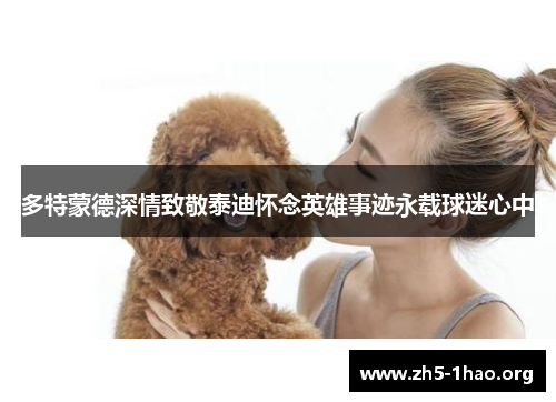 多特蒙德深情致敬泰迪怀念英雄事迹永载球迷心中