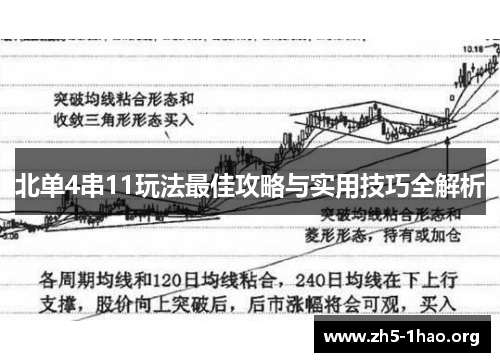 北单4串11玩法最佳攻略与实用技巧全解析