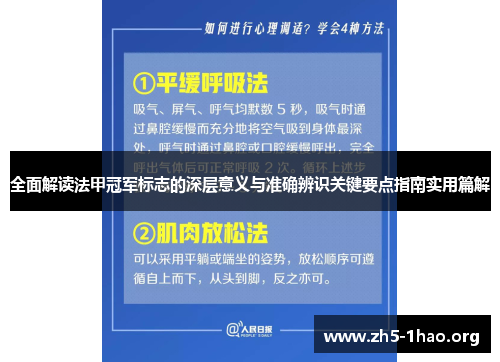 全面解读法甲冠军标志的深层意义与准确辨识关键要点指南实用篇解